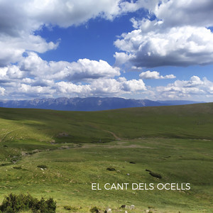 El Cant Dels Ocells