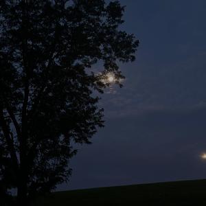 Watch the moon (Explicit)