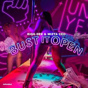 Bust It Open (Explicit)