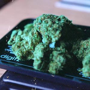 Young Pablo (Explicit)