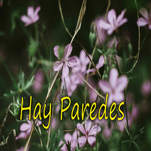 Hay Paredes