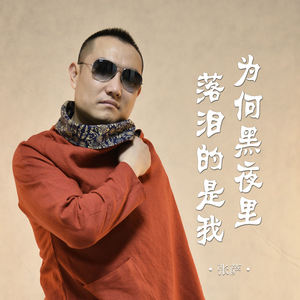 为何黑夜里落泪的是我