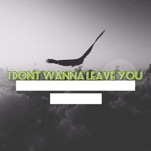I don't wanna leave you