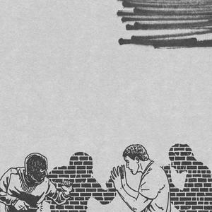 You Can't Feed the Seagulls