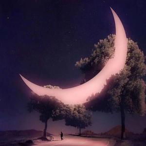 萱草花 (治愈女声版|翻自 张小斐)