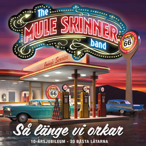 The Mule Skinner Band - You Never Can Tell