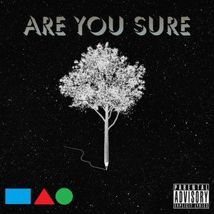 ARE YOU SURE(feat. Bayden Records) (Explicit)