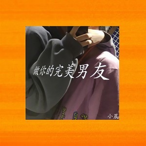 做你的完美男友