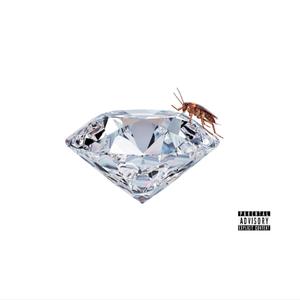 Rich Roaches (Explicit)