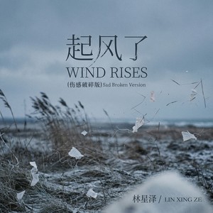 起风了 (伤感破碎版)封面