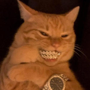 Shaquille O'Neal (Explicit)