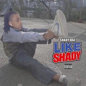 Like Shady (Explicit)