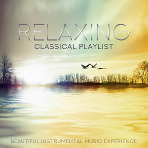 Relaxing Classical Playlist: Beautiful Instrumental Music Experience