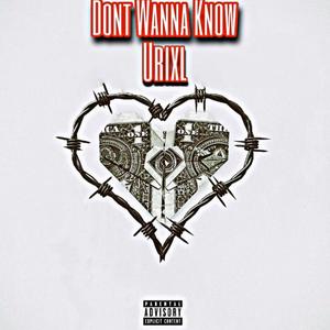 Don't Wanna Know (Explicit)