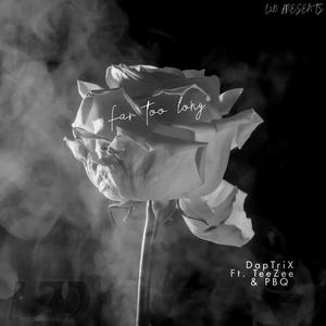 Far too long (feat. Pretty Boy Q, TeeZee & TAUNTIC) (Explicit)