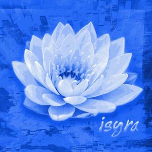 tequila in the am (feat. vxlierr)