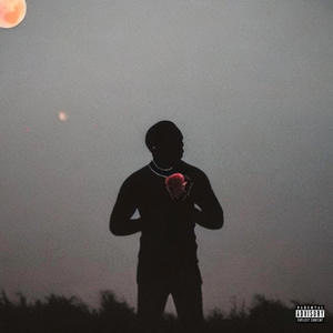 Man of the Year (Explicit)