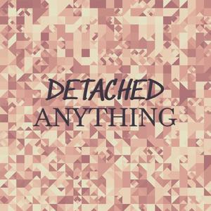 Detached Anything