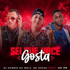 Sei Que Você Gosta (Explicit)