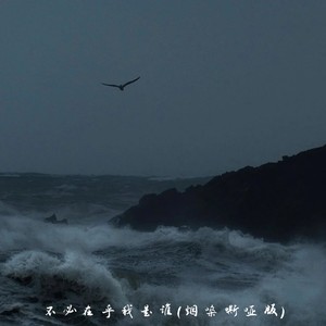 大头针 Official - 不必在乎我是谁 (烟嗓嘶哑版)