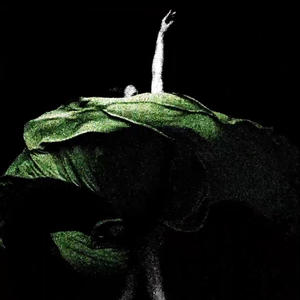 No Plans (feat. jaime!)