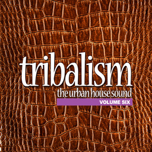 The Vibe of the Iberican Beats (Iberican Mix)