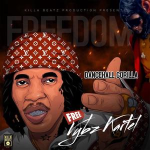 VYBZ KARTEL FREEDOM