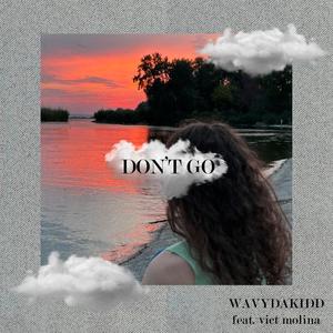 Don't Go