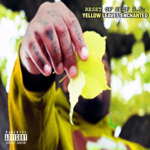 Reset of Self 3.5: Yellow Leaves Enchanted (Explicit)