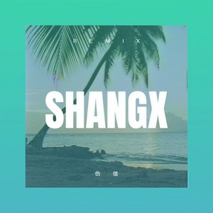 网红 (DJ版)