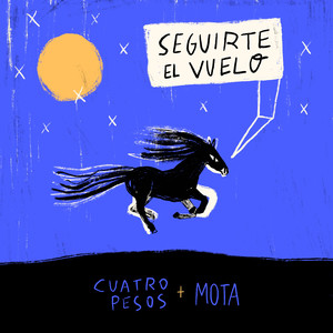 Seguirte El Vuelo
