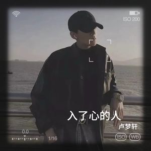 入了心的人