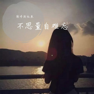 不思量自难忘