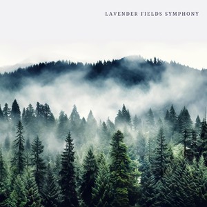 Lavender Fields Symphony