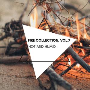 Hot and Humid - Fire Collection, Vol.7