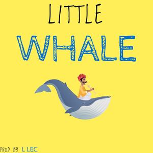 LITTLE WHALE