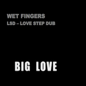 LSD - Love Step Dub (Big Love Movie)