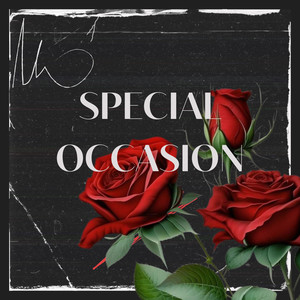 Special Occasion (2024|Explicit)