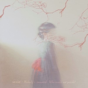 Sunrise after the snowstorm