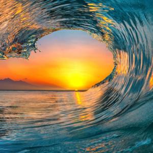 Ridin' This Wave