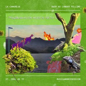 SUCH AS LONGER FEELING (Live)