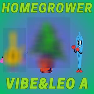 Homegrower (feat. Leo A) [Explicit]