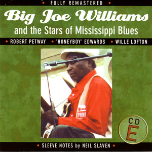 Big Joe Williams and the Stars of Mississippi Blues (E)