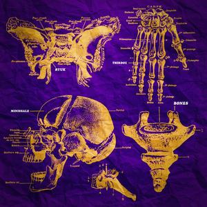 Bones (feat. Third-OX & Minissale) [Explicit]