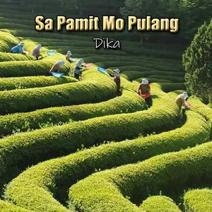 Sa Pamit Mo Pulang