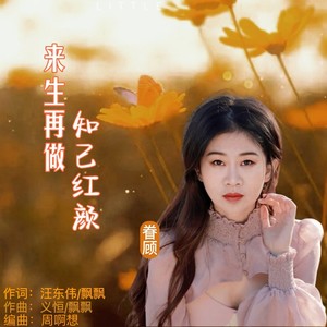来生再做知己红颜封面