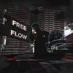 Kermit - free flow (feat. Sanaki) (Explicit)