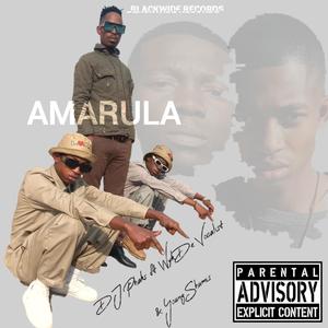 AMARULA (feat. Wyk de Vocalist & Young Shumis) [Radio Edit]