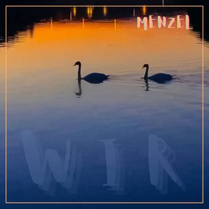 Wir