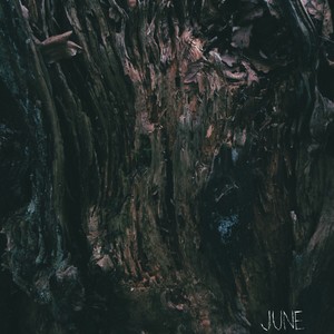 June (Single)